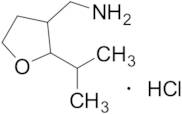 [2-(Propan-2-yl)oxolan-3-yl]methanamine Hydrochloride (Mixture of Diastereomers)