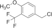 4-(Chloromethyl)-1-methoxy-2-(trifluoromethyl)benzene