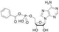 5’-Benzoylphosphoadenosine