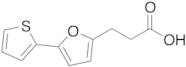 3-[5-(2-thienyl)-2-furyl]propanoic Acid