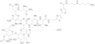 Bleomycin A5 Hydrochloride Salt