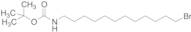 12-(t-Boc-amino)-1-dodecyl Bromide