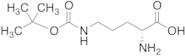 N-δ-BOC-D-Ornithine