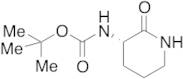 N-Boc L-Orinithine Lactam