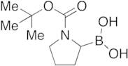 N-Boc-pyrrolidin-2-ylboronic Acid