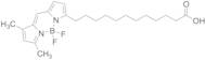 12-BODIPY-dodecanoic Acid