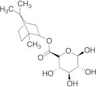 (+)-Borneol Glucuronate