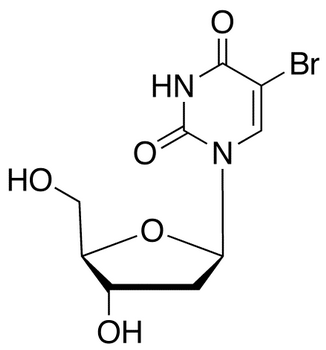 5-Bromo-2'-deoxyuridine