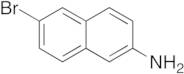 6-Bromo-2-naphthylamine