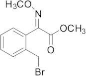 (E)-2-[2-(Bromomethyl)phenyl]-2-(methoxyimino)acetic Acid Methyl Ester