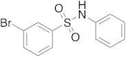 3-Bromo-N-phenylbenzenesulfonamide