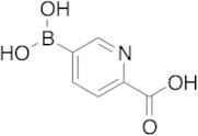 5-Boronopicolinic Acid