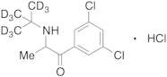 2-(tert-Butylamino)-3’,5’-dichloropropiophenone-d9 Hydrochloride