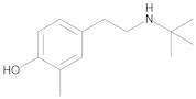 4-tert-Butylaminoethyl-2-methylphenol