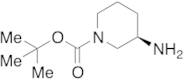 tert-Butyl (R)-3-Aminopiperidine-1-carboxylate