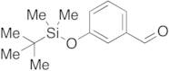 3-tert-Butyldimethylsilyloxybenzaldehyde