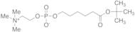 tert-Butyl 6-(O-Phosphorylcholine)hydroxyhexanoate