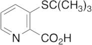 3-tert-Butylthio-2-carboxypyridine