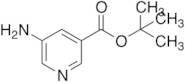 tert-Butyl 5-Aminopyridine-3-carboxylate