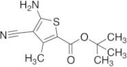 Tert-butyl 5-Amino-4-cyano-3-methylthiophene-2-carboxylate