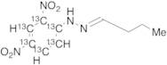 Butyraldehyde 2,4-Dinitrophenylhydrazone-13C6