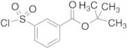 tert-Butyl 3-(Chlorosulfonyl)-benzoate