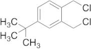 4-tert-Butyl-1,2-bis(chloromethyl)benzene