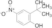 2-(tert-Butyl)-4-nitrophenol