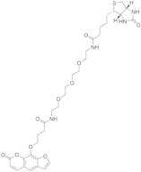 Biotinylated Psoralen