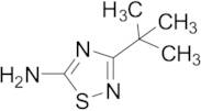 3-tert-Butyl-1,2,4-thiadiazol-5-amine