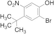 2-Bromo-4-(1,1-dimethylethyl)-5-nitrophenol