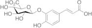 Caffeic Acid 3-β-D-Glucuronide