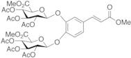 Caffeic Acid Methyl Ester 3,4-Di-O-(tri-O-acetyl-b-D-glucuronic Acid Methyl Ester)