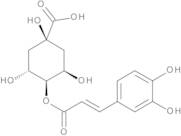 4-O-Caffeoylquinic Acid