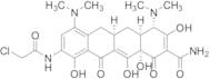 9-Chloroacetamidominocycline