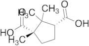 DL-Camphoric Acid