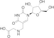 5-Carboxymethylaminomethyluridine