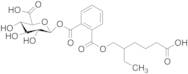 [2-(5-Carboxy-2-ethylpentylcarboxy)]benzoyl Glucuronide