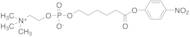 6-Carboxyhexylphosphocholine p-Nitrophenyl Ester