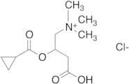 Cyclopropanecarboxyl Carnitine Chloride