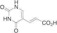 (E)-5-(2-Carboxvinyl)uracil