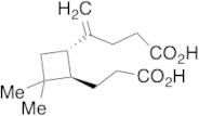 Beta-Caryophyllinic Acid