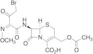 Cefotaxime Bromoacetyl Analogue