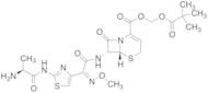 Ceftizoxime Alapivoxil