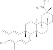 Celastrol (>85%)