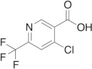 4-Chloro-6-(trifluoromethyl)-3-pyridinecarboxylic Acid