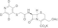 Cephapirin-d4 Potassium Salt