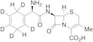 Cephradine-d5