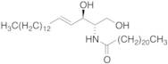 C22 Ceramide