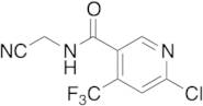 6-Chloro Flonicamid